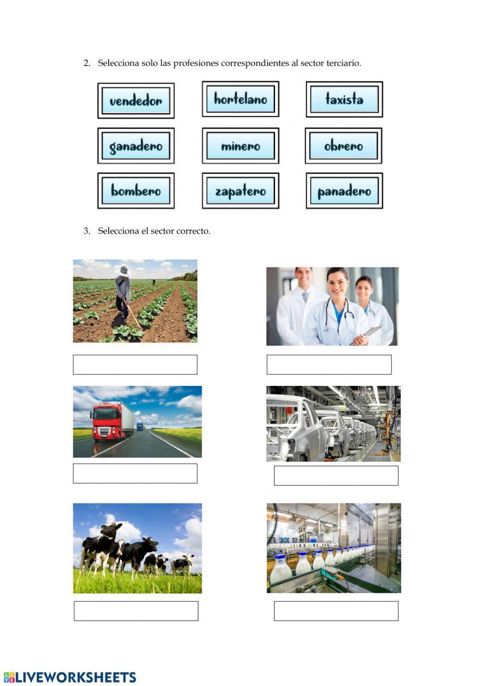 Sectores económicos