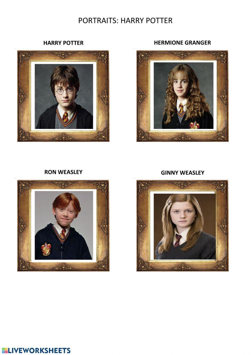 Harry Potter Portraits-Physical Description