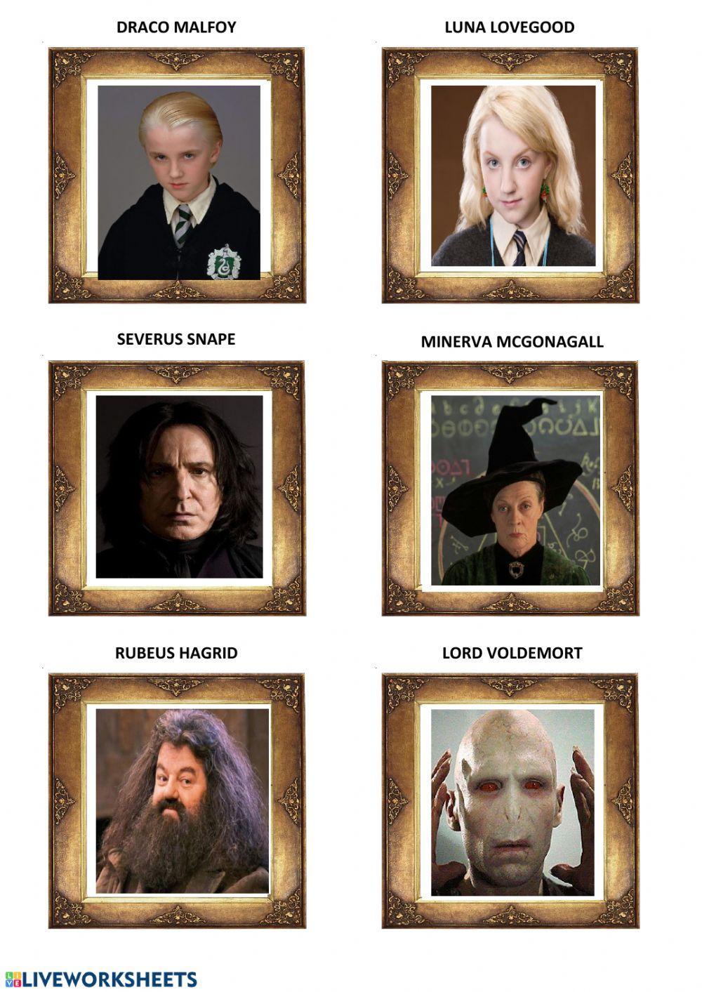 Harry Potter Portraits-Physical Description