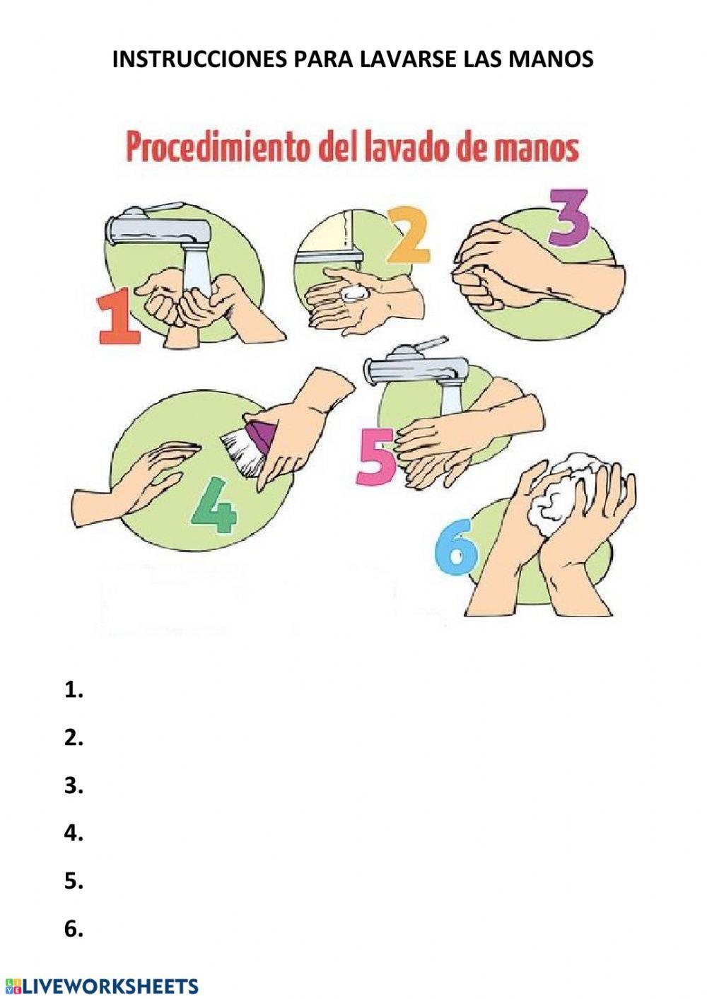 Instrucciones