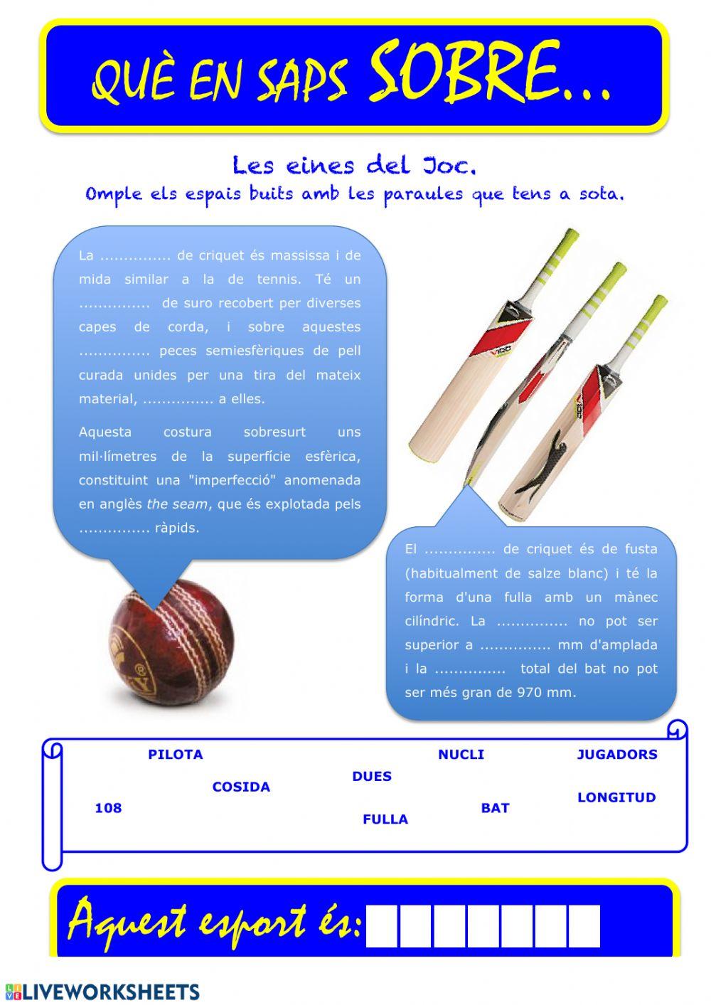 Que saps sobre... Criquet 03