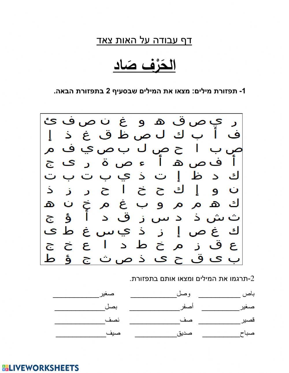 אוצר מילים אות צ