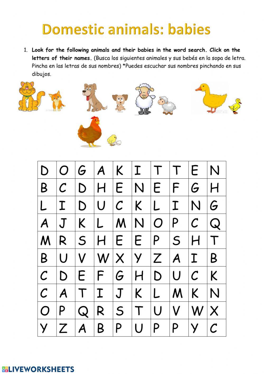 Domestic animals: babies