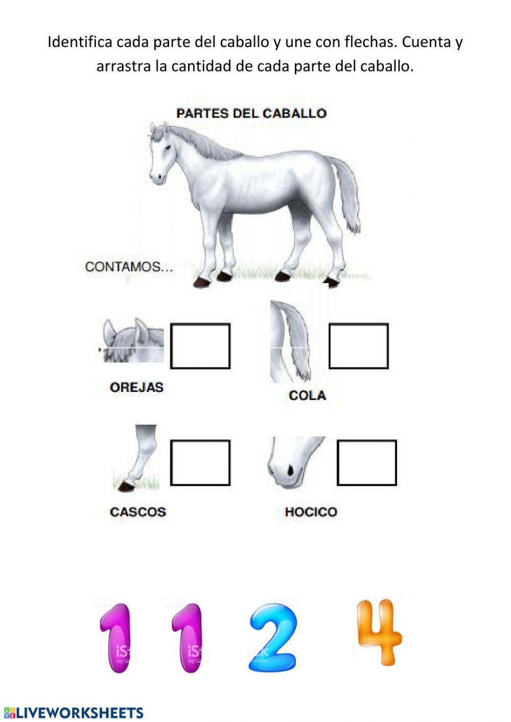 Caballo