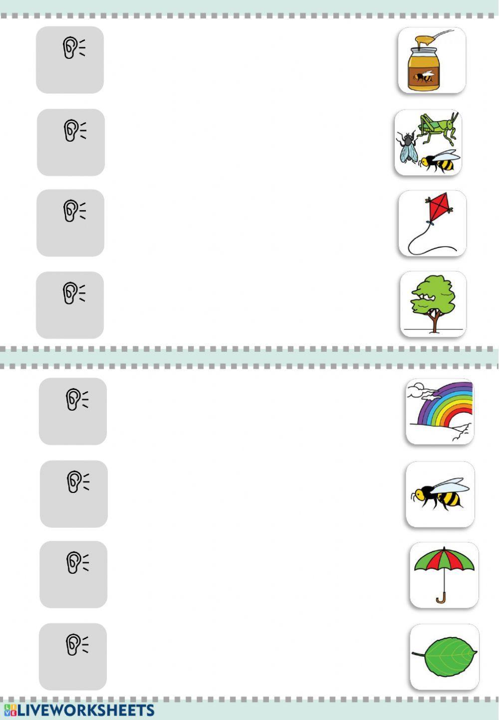 UDABERRIKO HIZTEGIA (bideoa eta lotzeko ariketa)