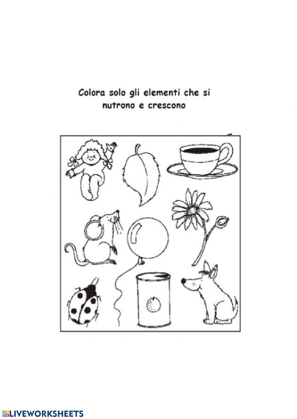 Caratteristiche esseri viventi e non