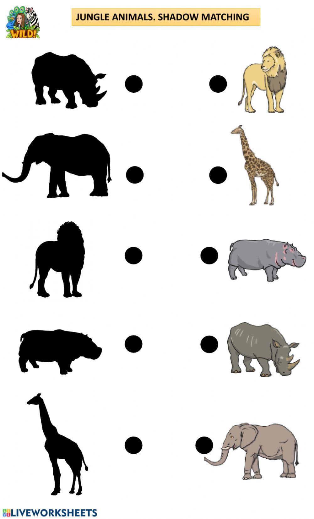 Jungle animals. Shadow matching