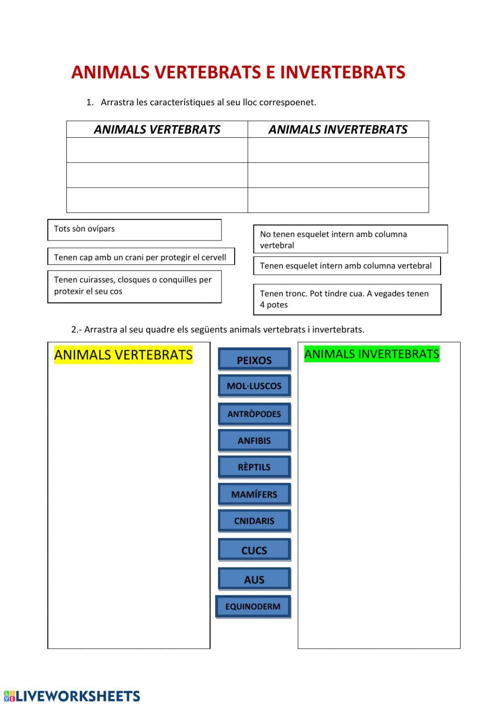 Animals vertebrats i invertebrats