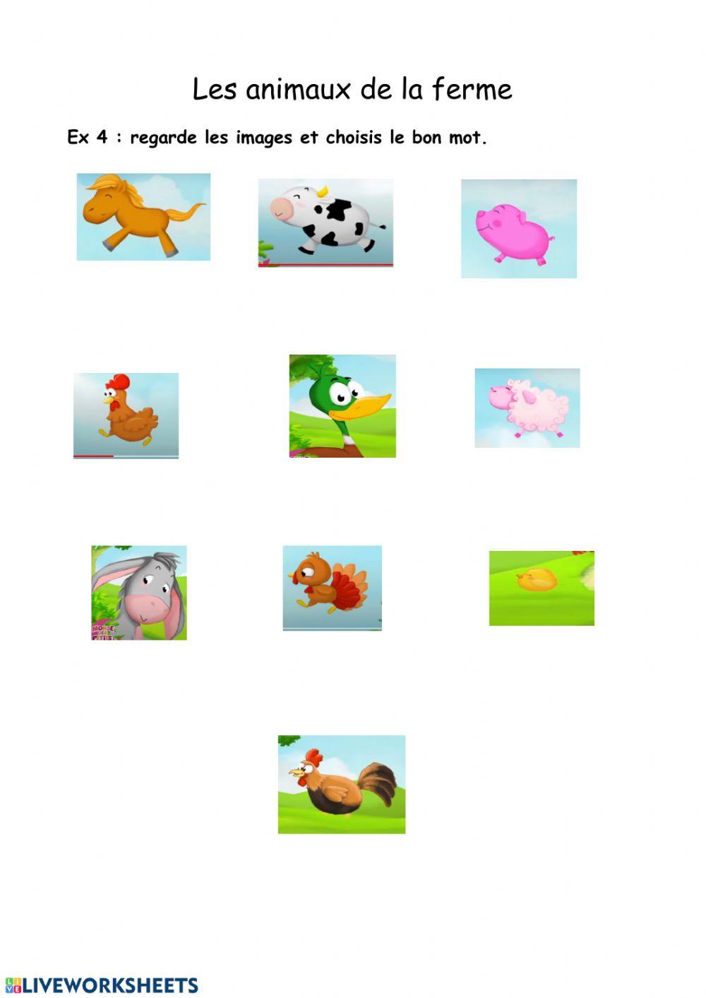 Les animaux de la ferme 3