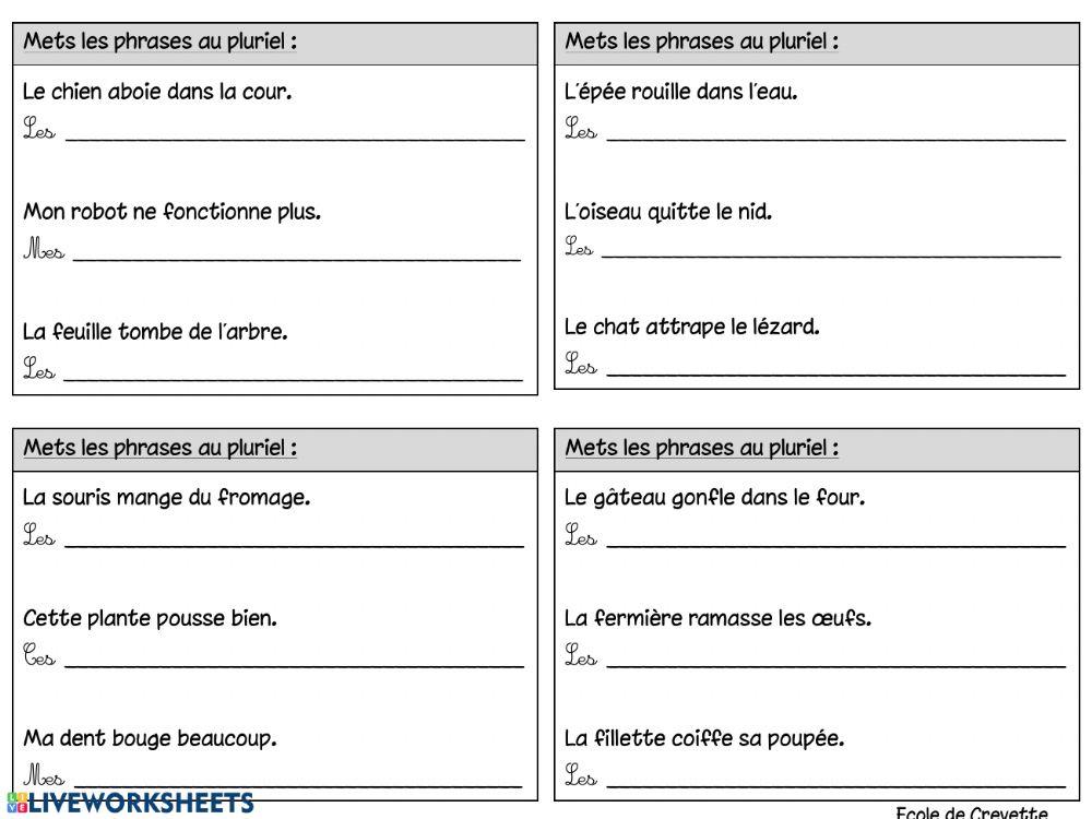 Accord sujet verbe présent indicatif