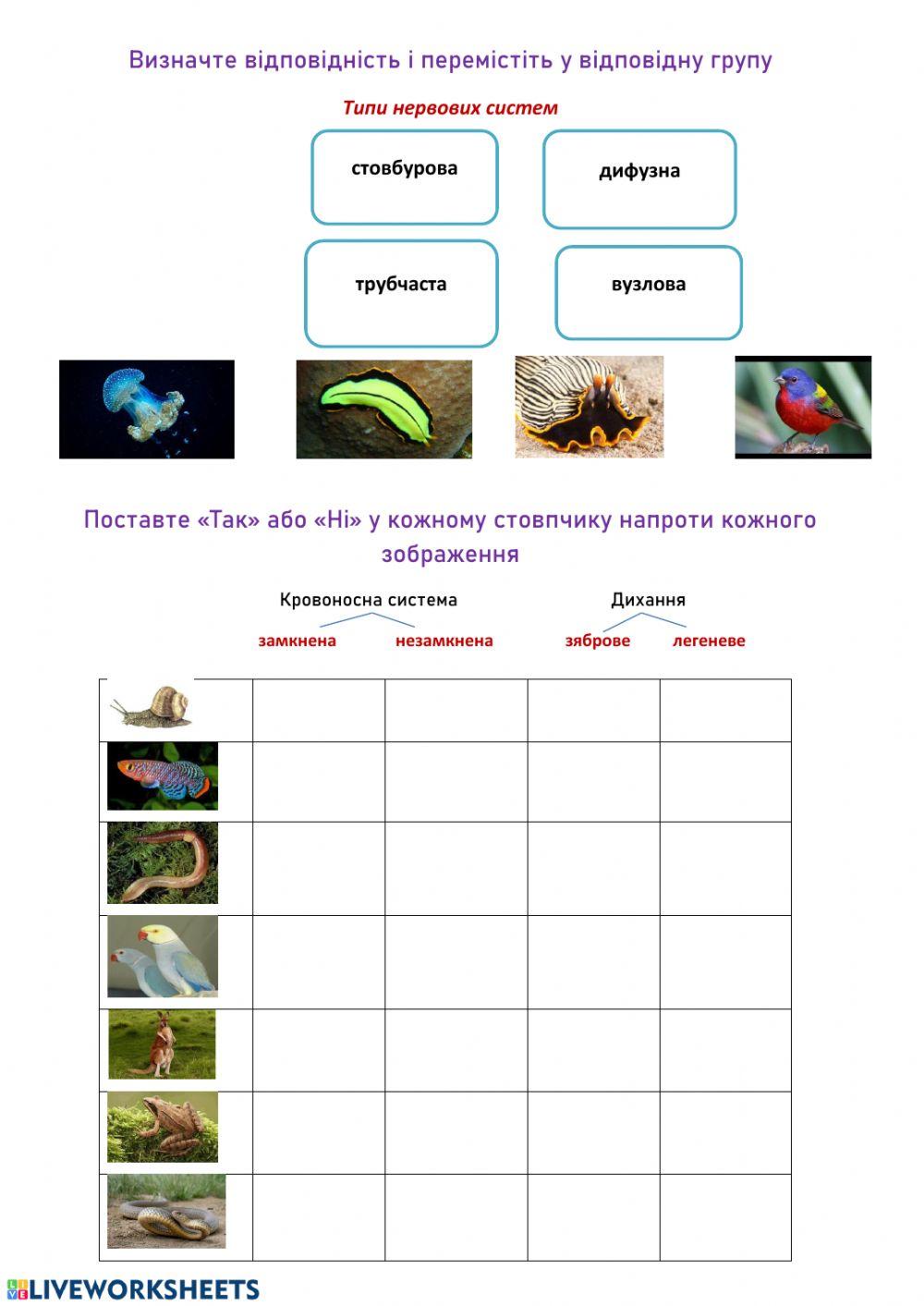 7 клас interactive worksheet | Live Worksheets