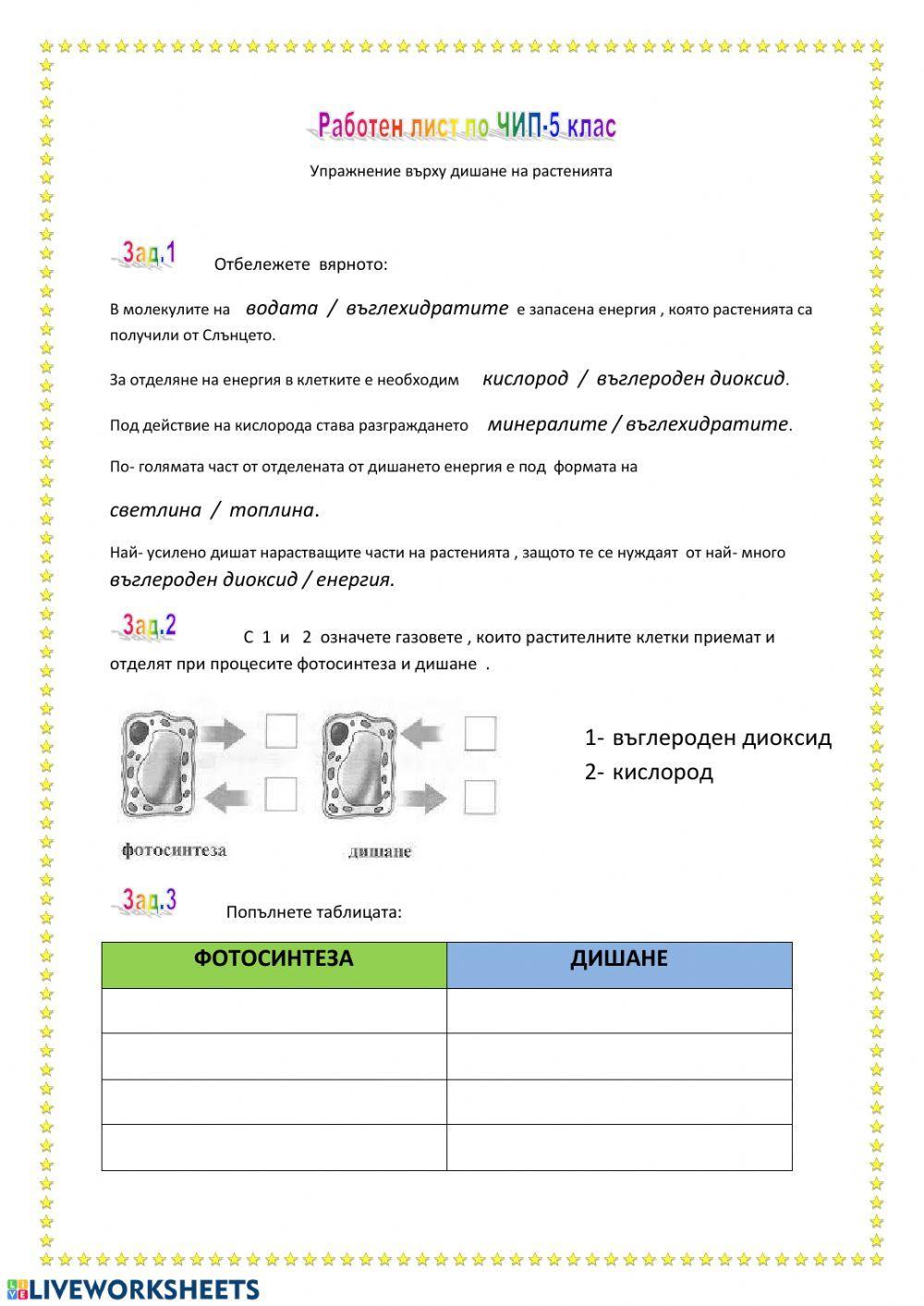 Упр. върху дишане на растенията worksheet | Live Worksheets