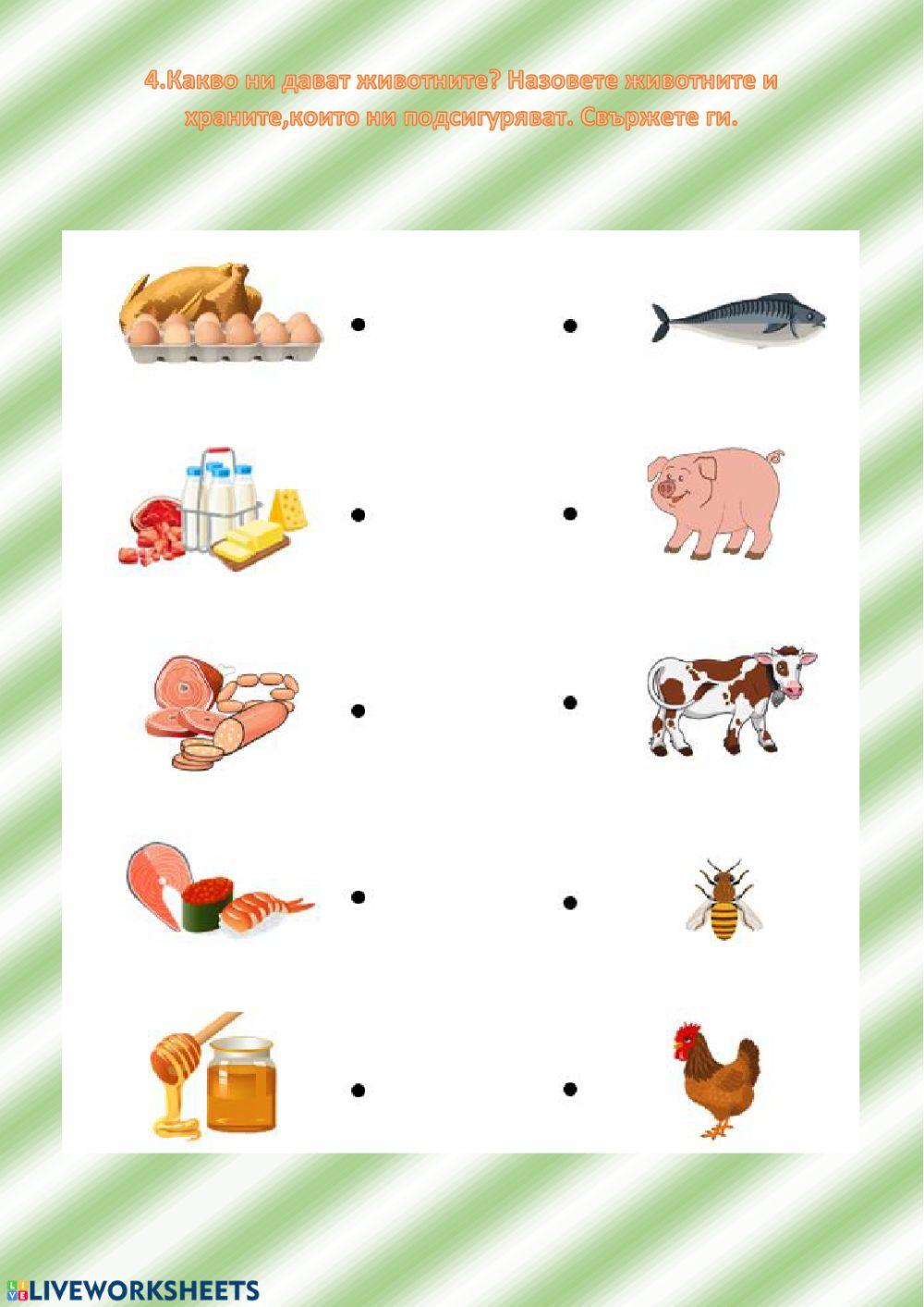 Домашни животни