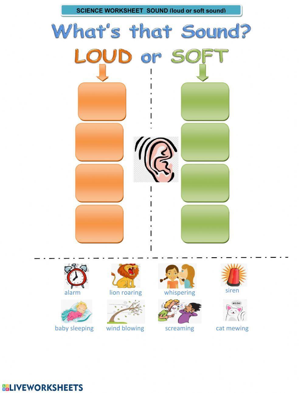 Science worksheet Monday