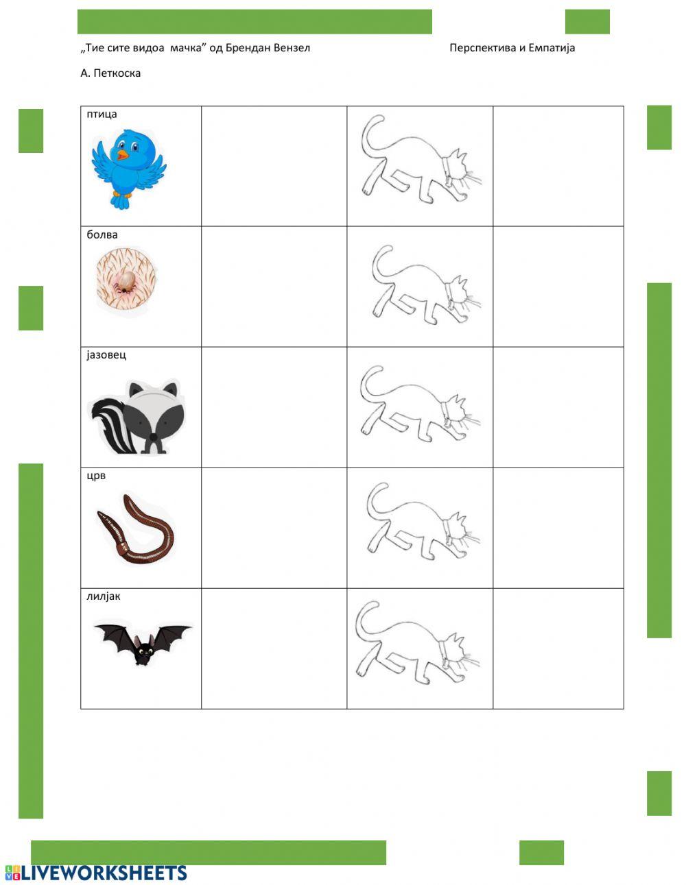 Тие сите видоа една мачка