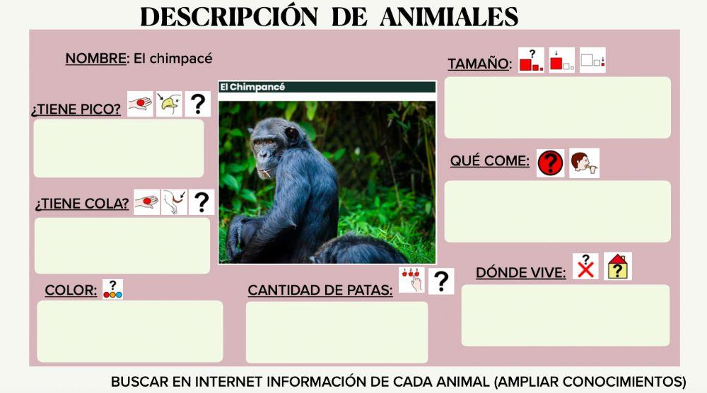 Descripción animales