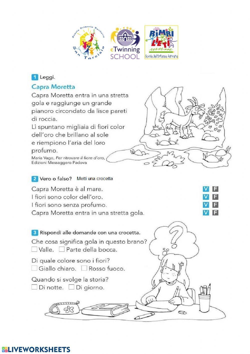 Comprensione del testo