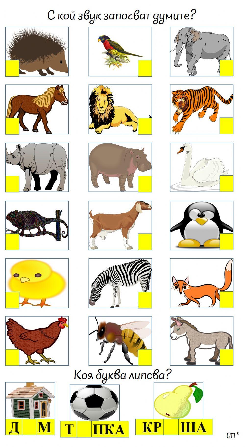 С кой звук започват думите?