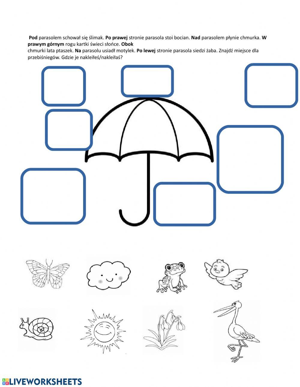 Pozycjonowanie - wiosna