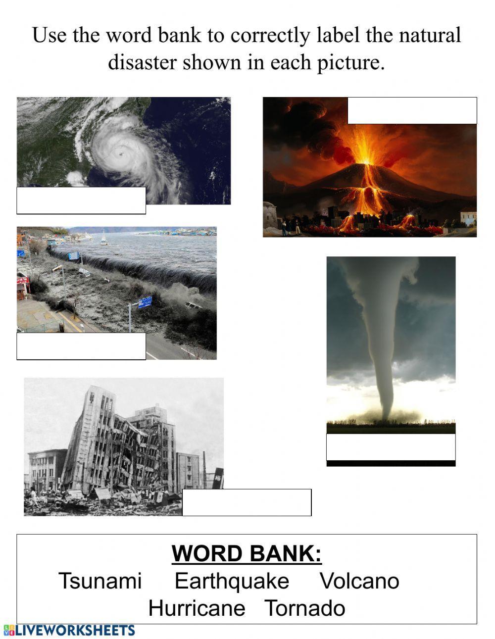 Natural Disasters Label