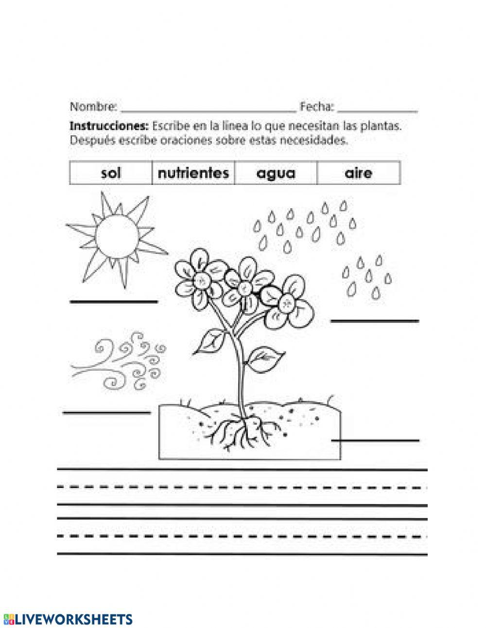 La planta necesita...