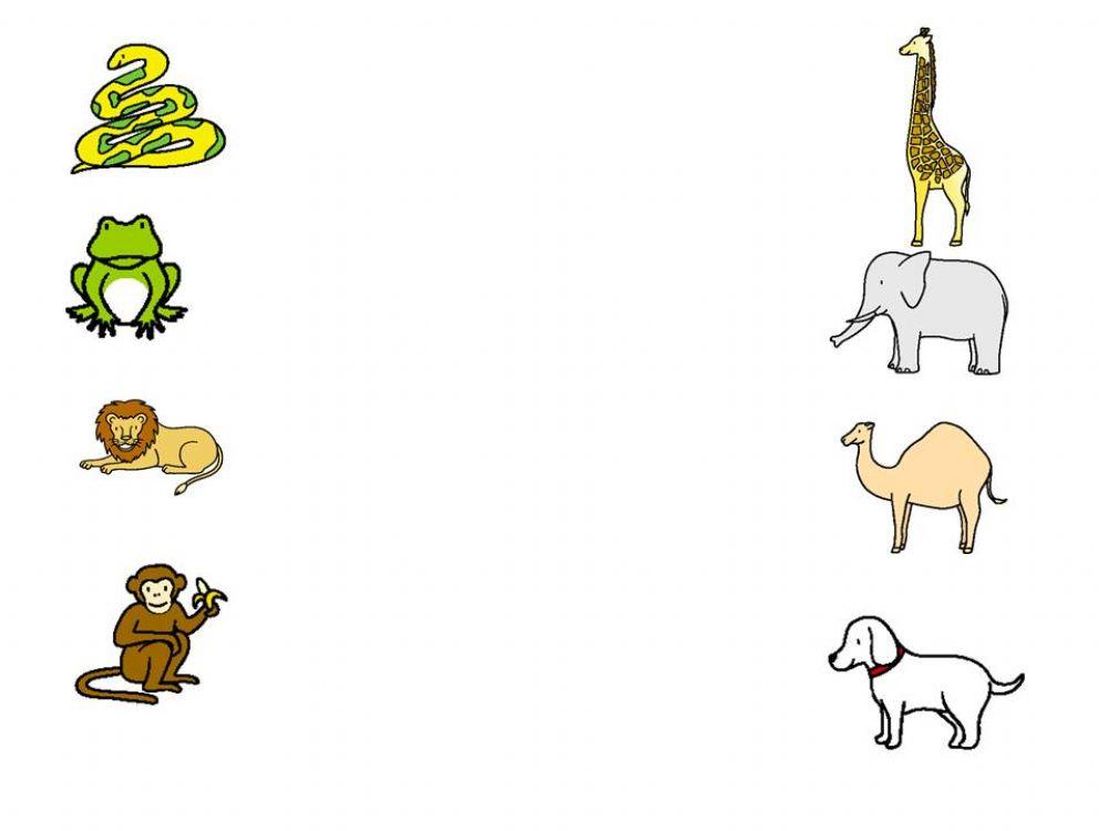 Dear Zoo animal names