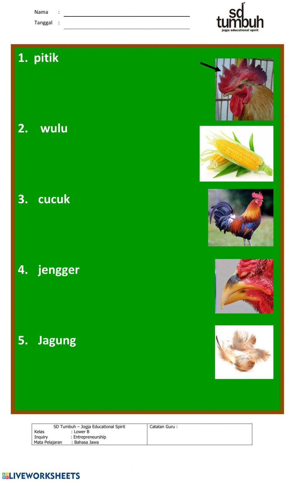 Tugas Tembang Dolanan 3B
