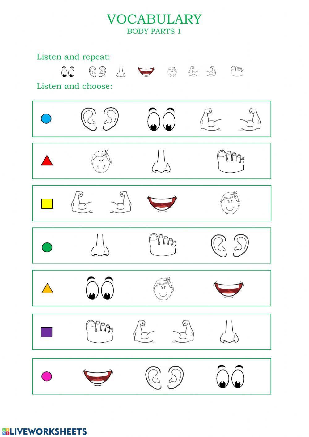 Vocabulary - Body Parts 1