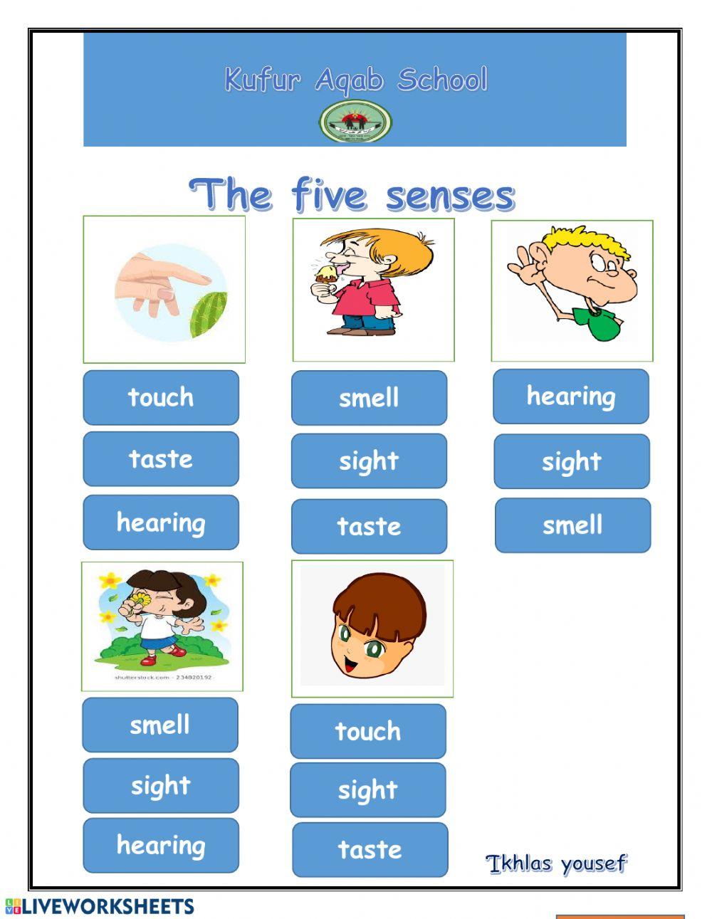 Five senses