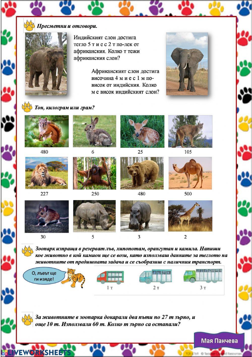 Тон Тон