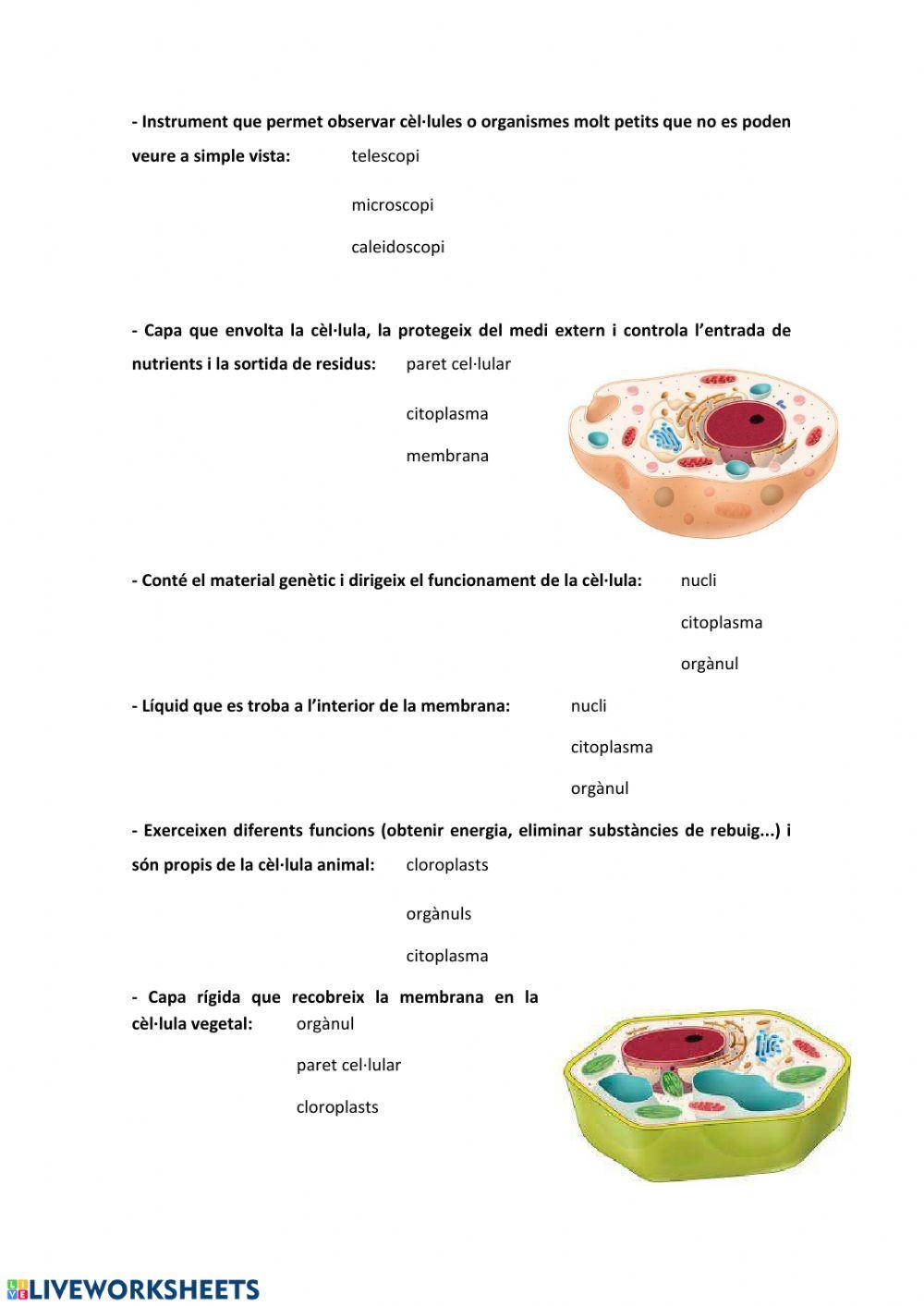 Els éssers vius- resposta múltiple