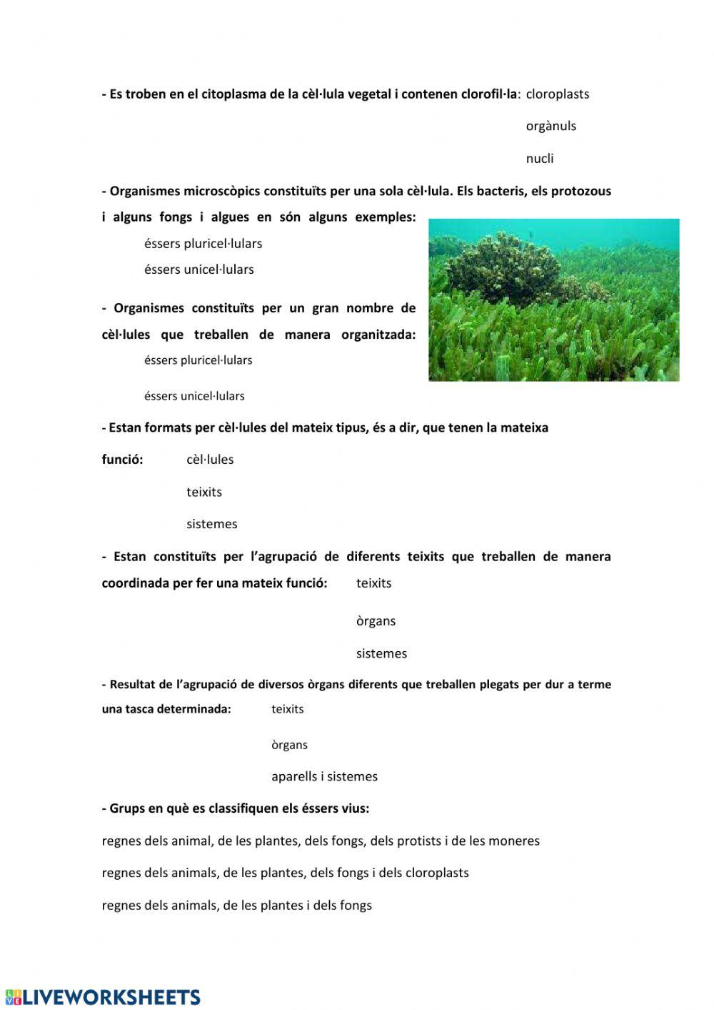 Els éssers vius- resposta múltiple