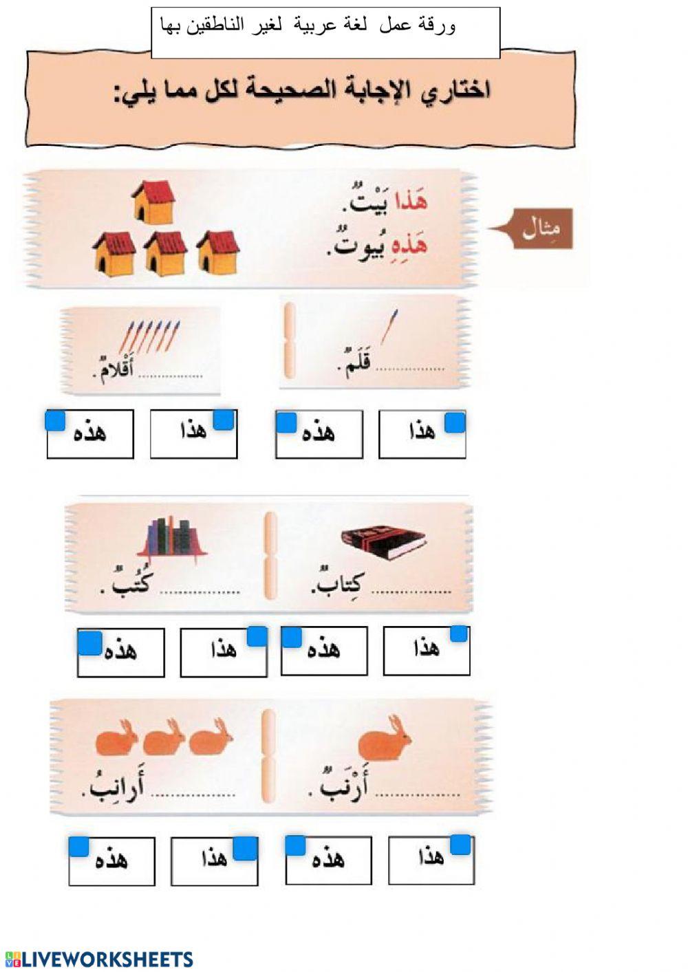 Second language Arabic