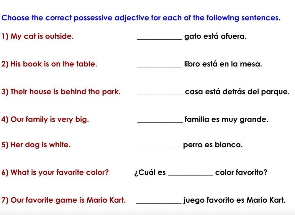 Possessive Adjectives