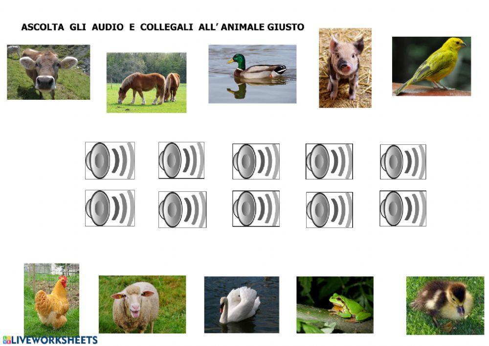 Animals listening test