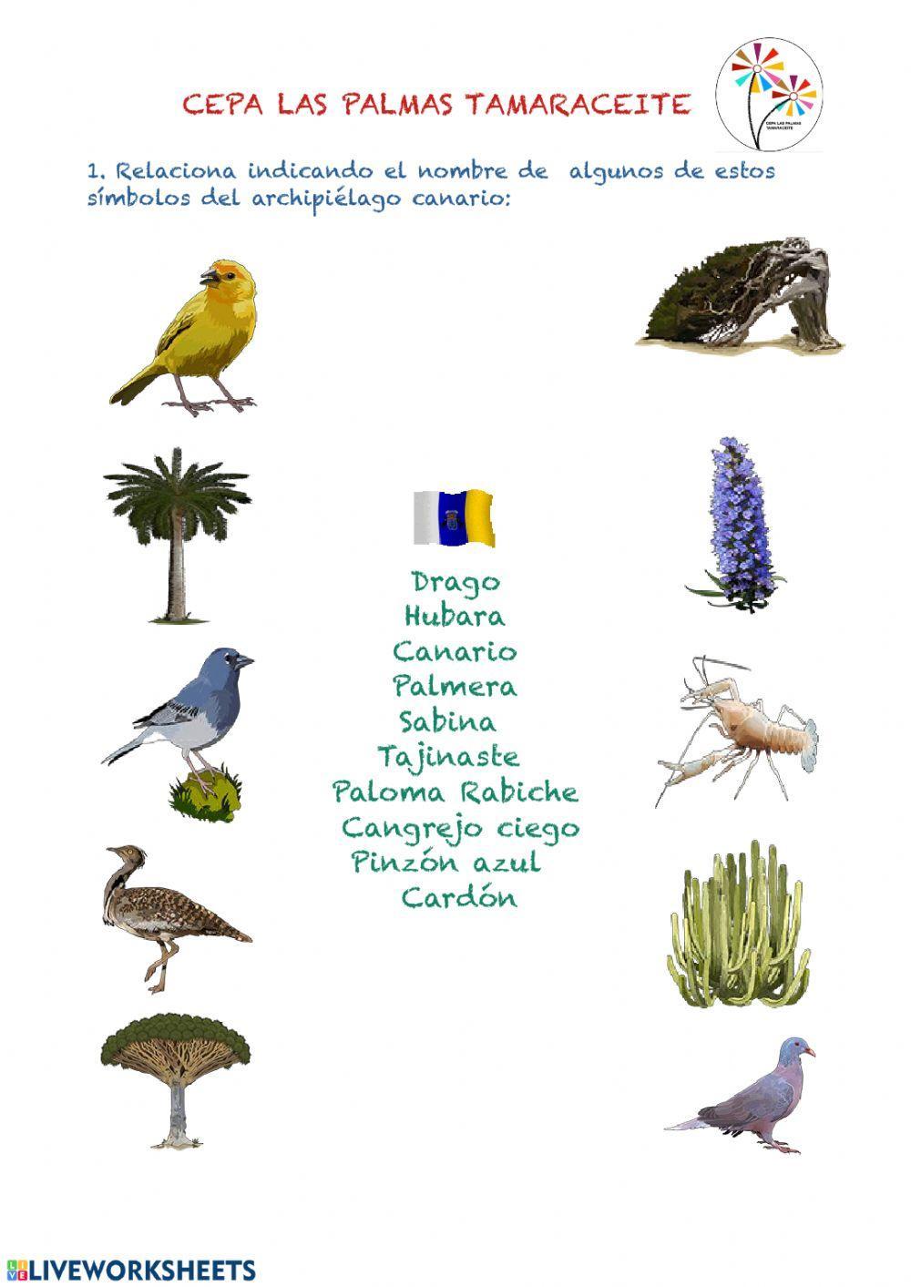 Simbolos de canarias