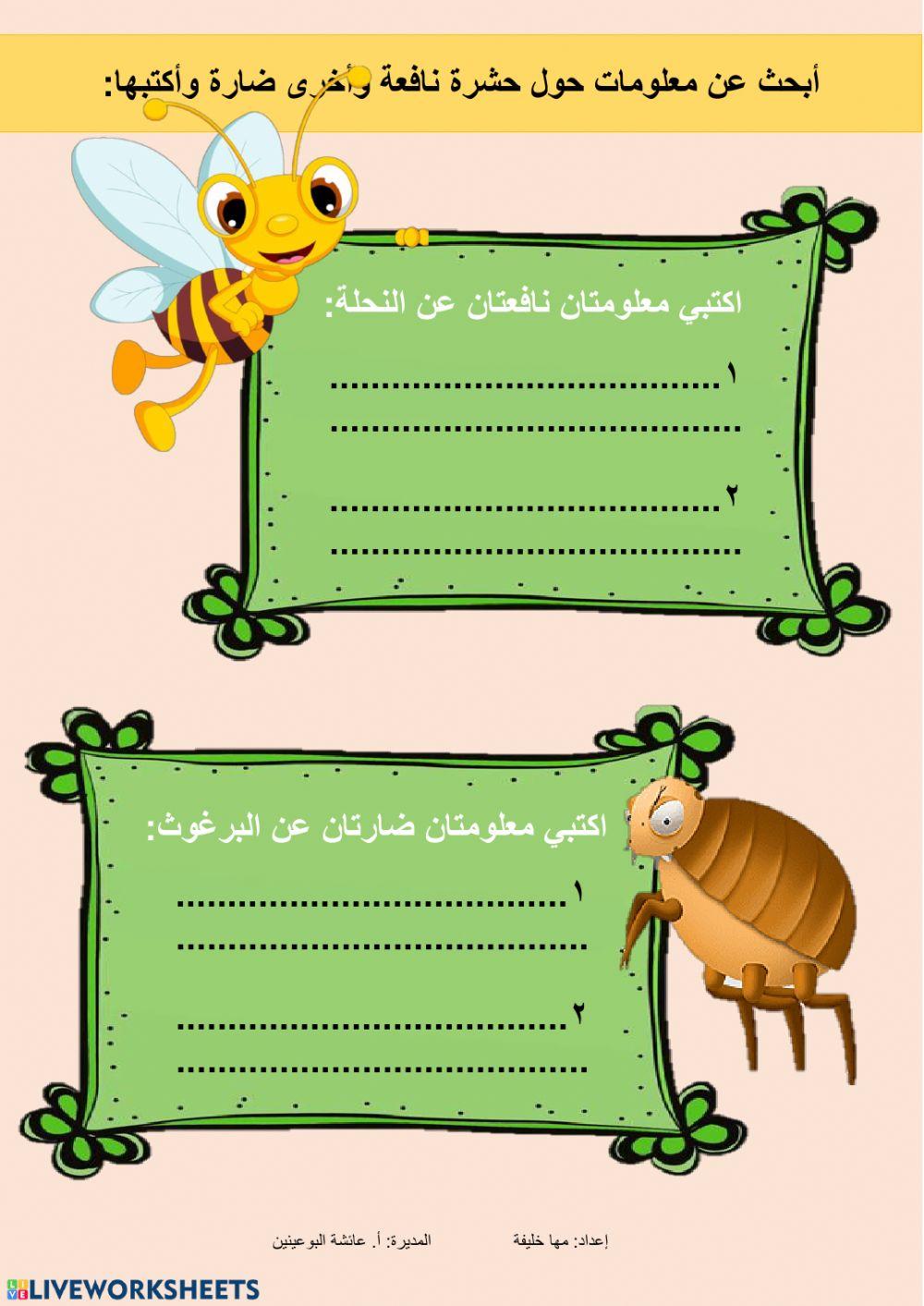 الطفل و الفراشة