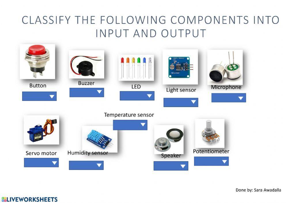 Input or Output | Free Interactive Worksheets | 84894