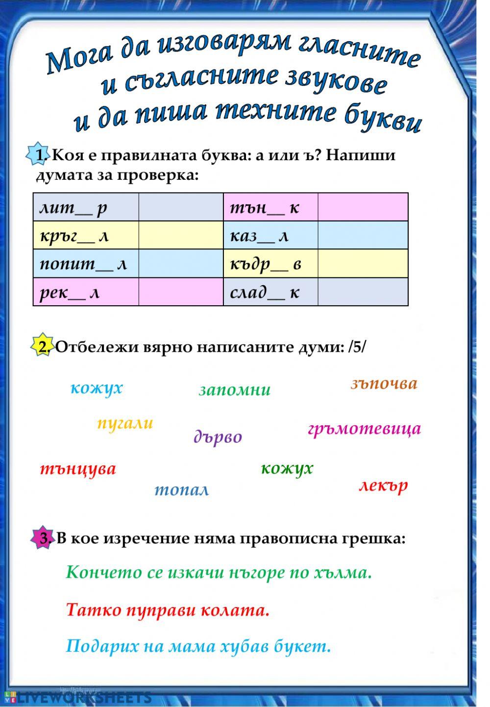Правопис на гласни и съгласни