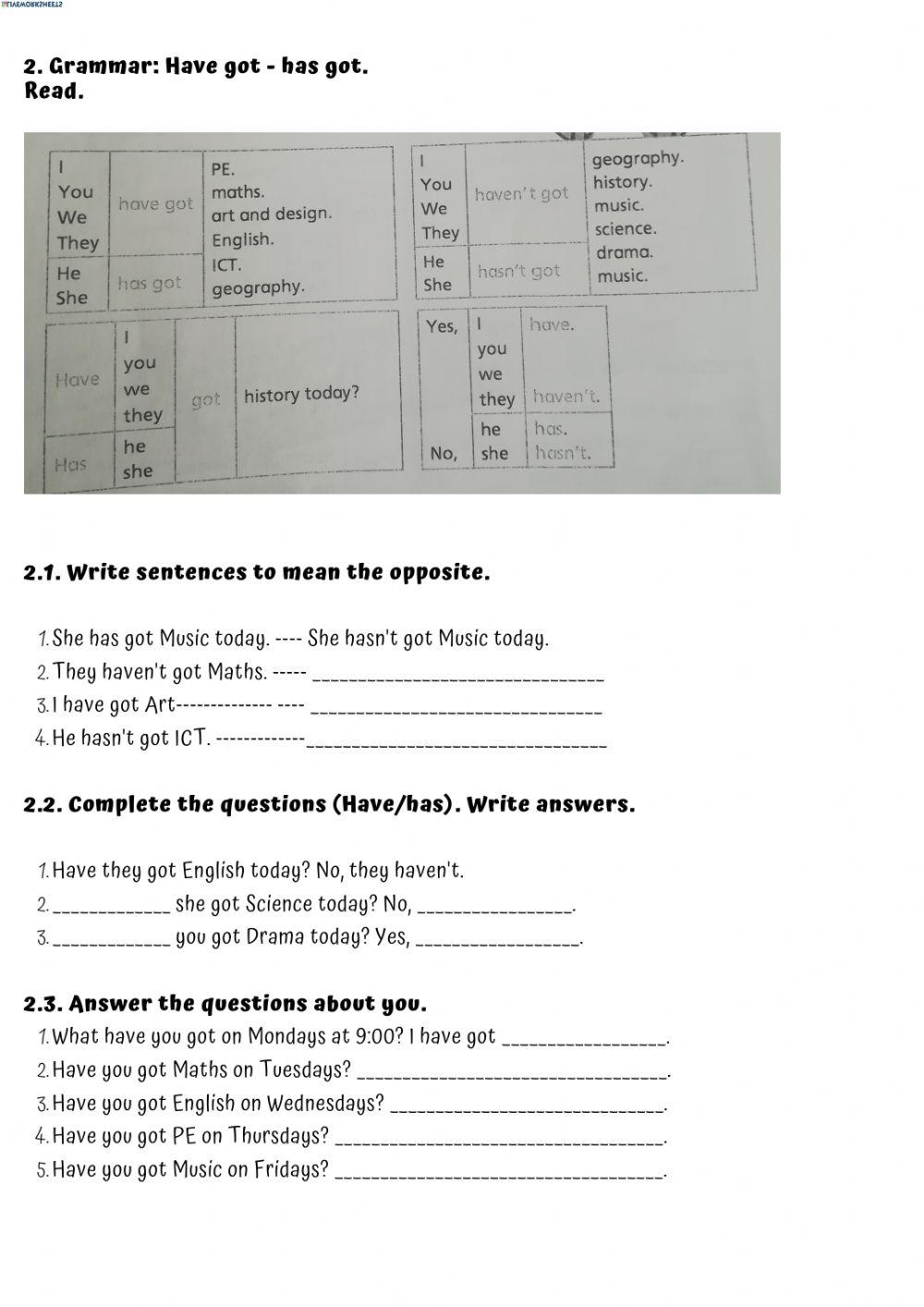 Subjects + have got - has got