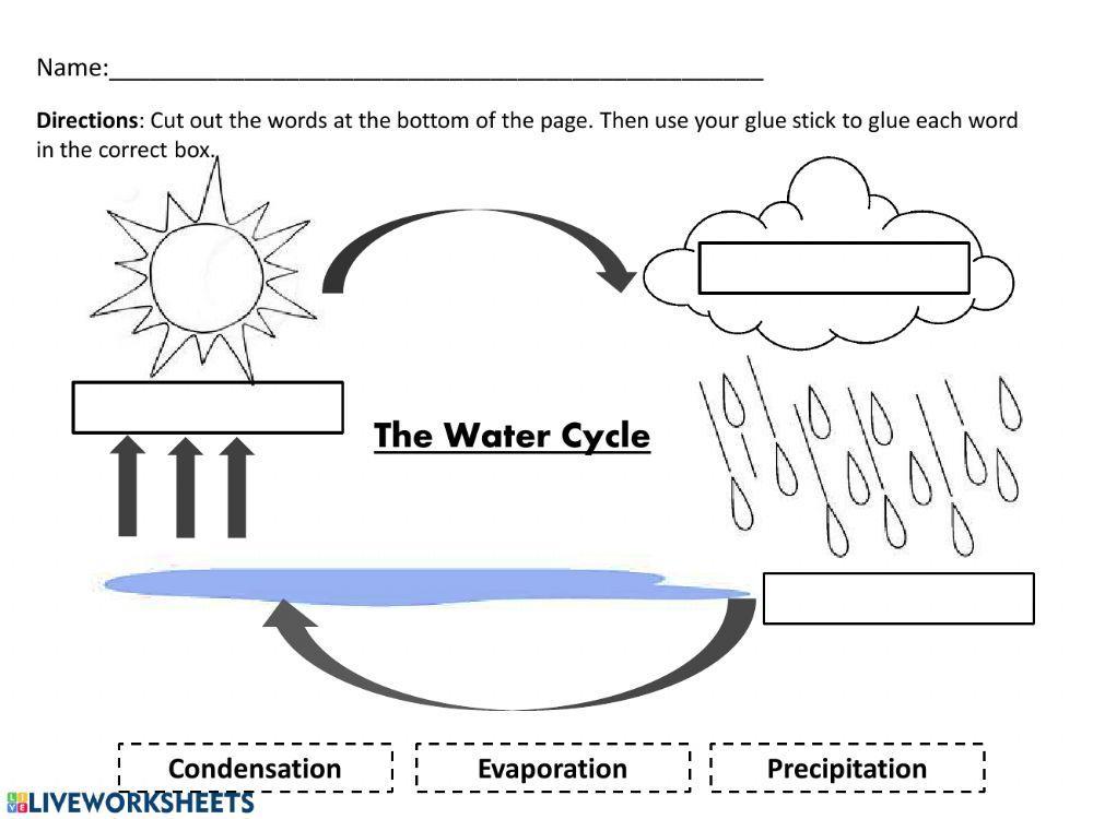 Water Cycle