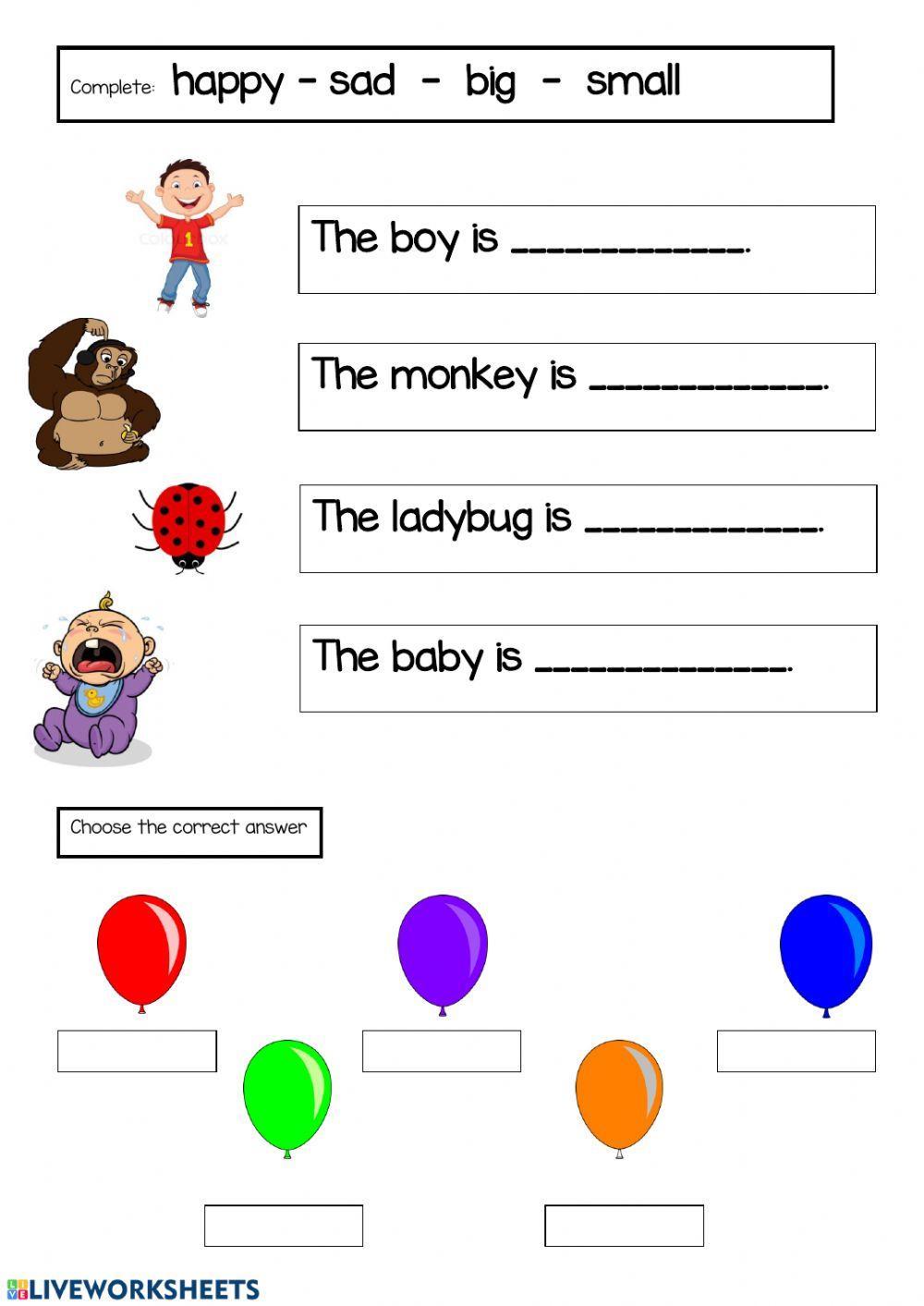 Vocabulary & Colours Vocabulary & Colours