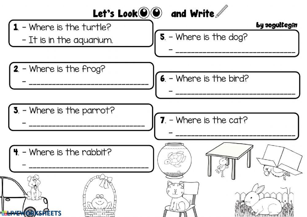 Pets - Let's Look and Write