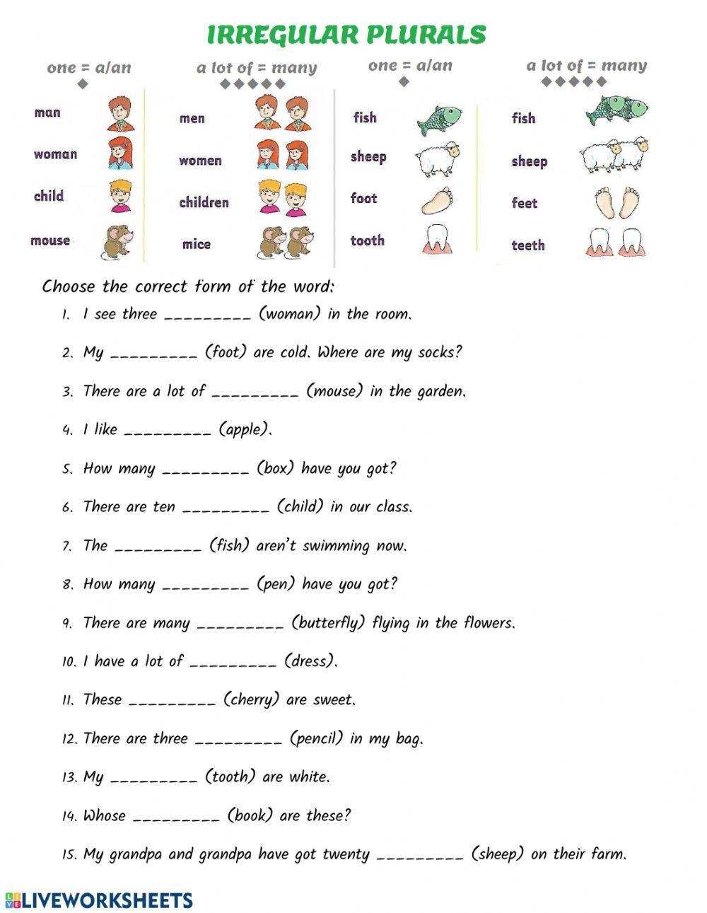 Irregular Plural Nouns Worksheet