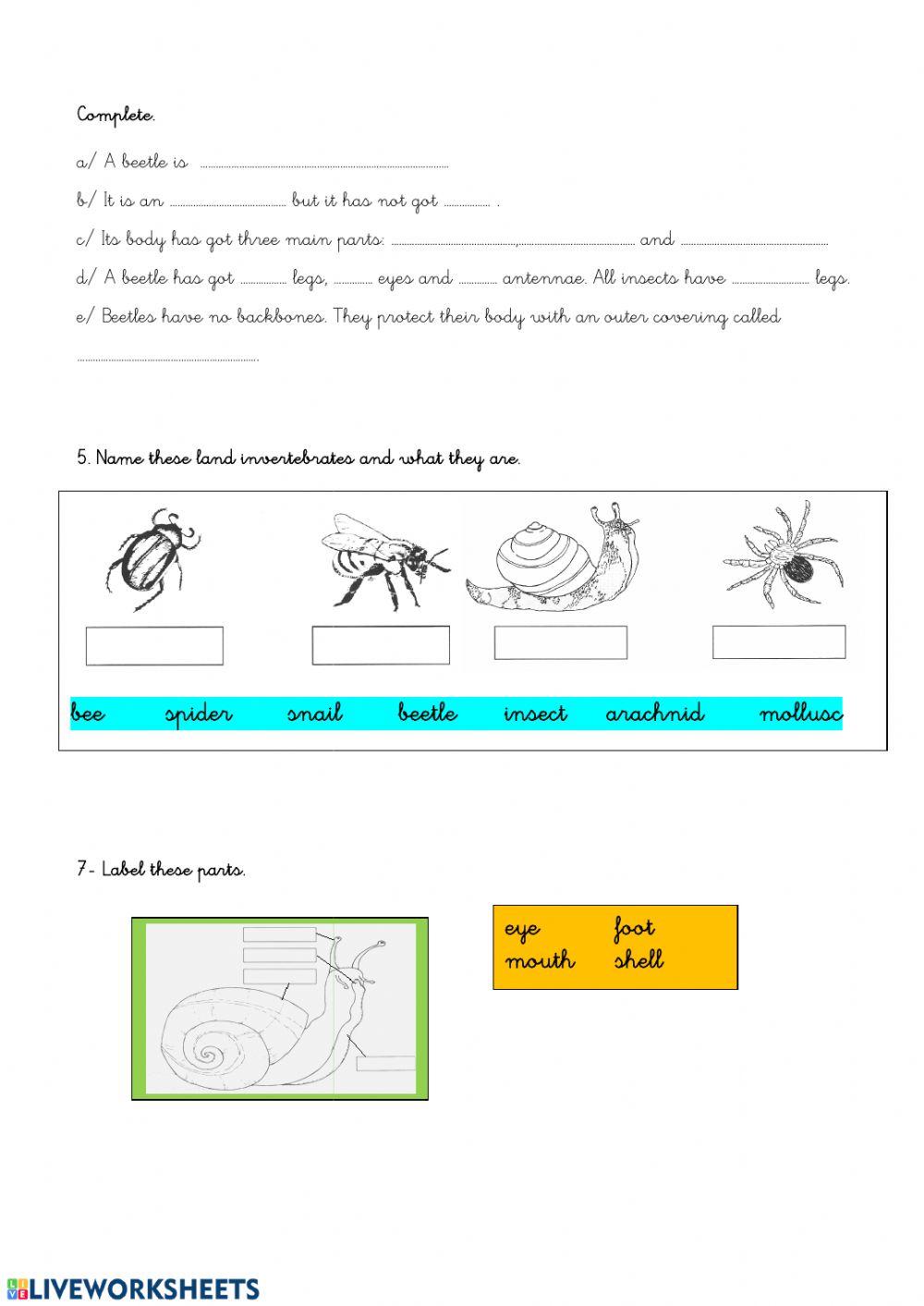 Vertebrates and invetebrates