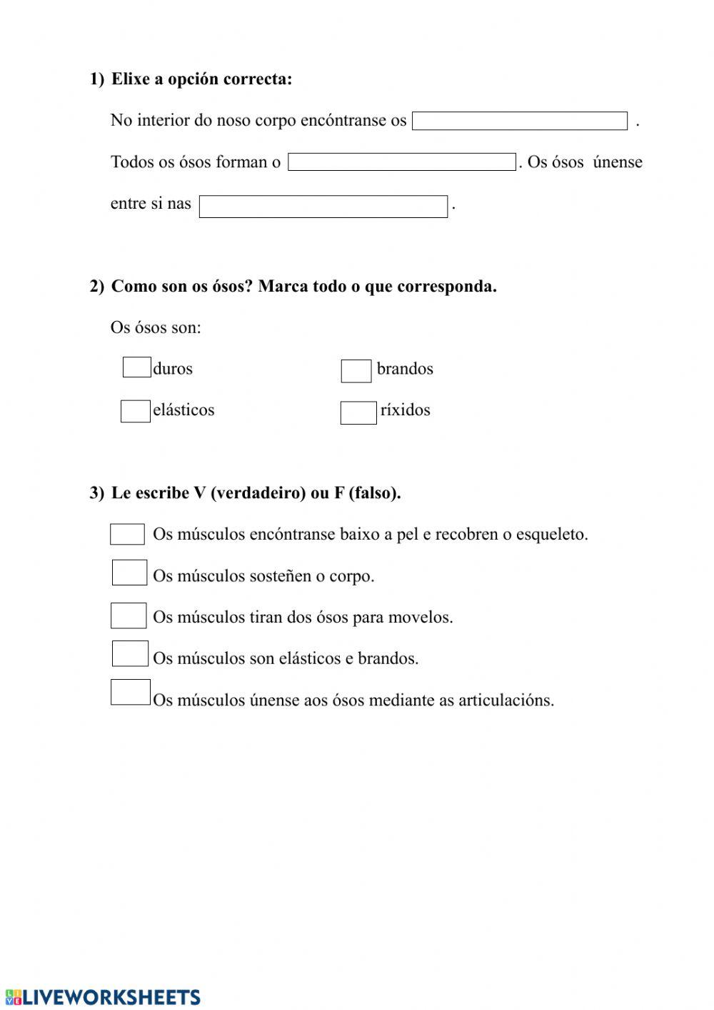 Os ósos e os músculos