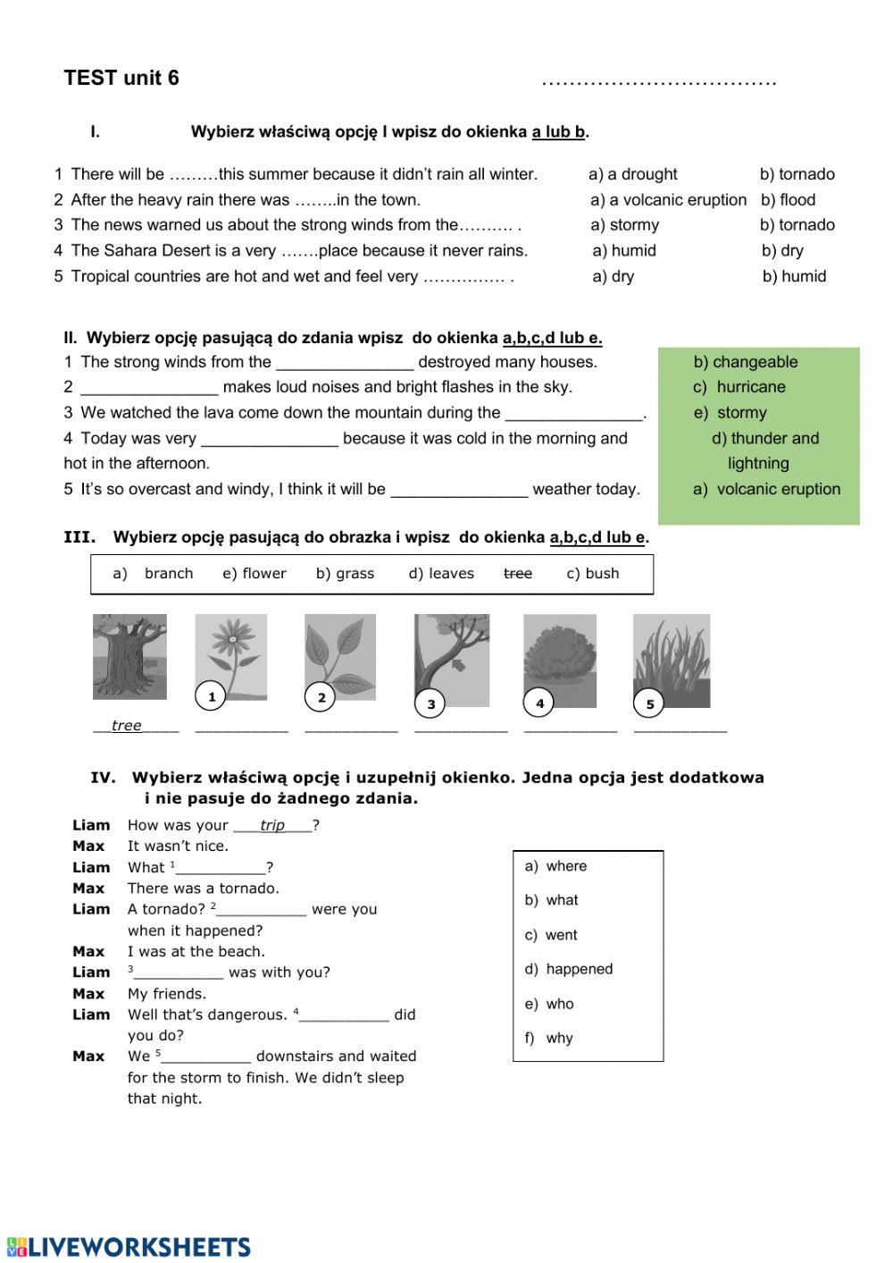 Natural disasters and weather