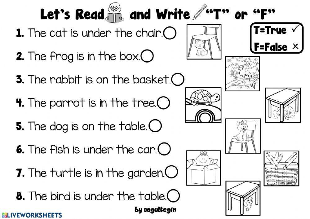 2.8. Pets - Let's Look and Write -True- or -False- 2.8. Pets - Let's Look and Write -True- or -False-