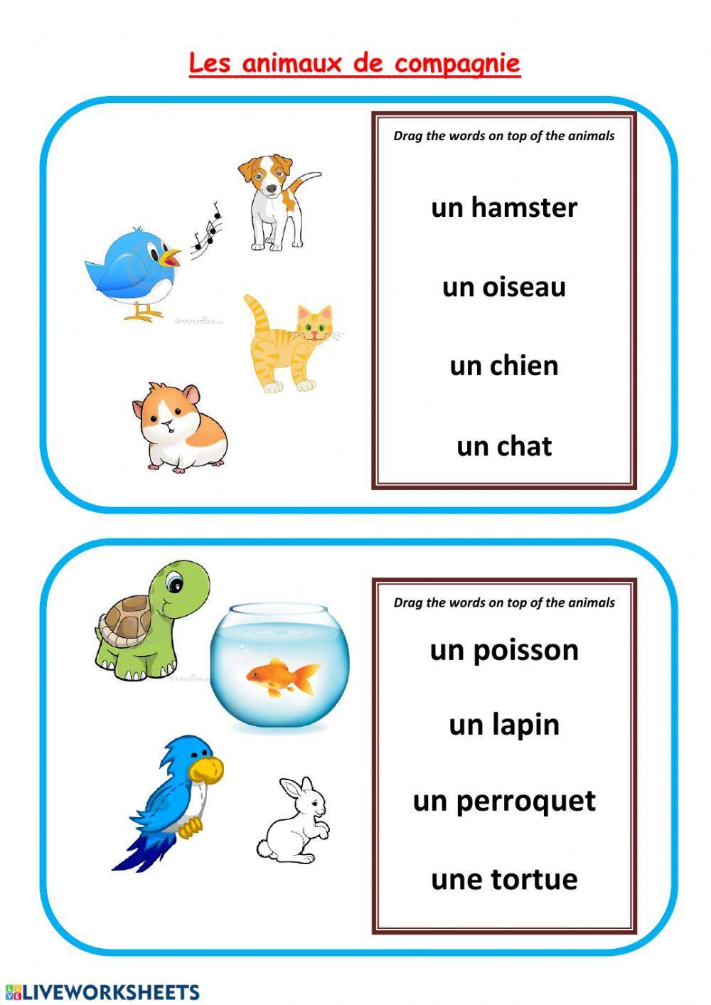 Animaux de compagnie-pets in French