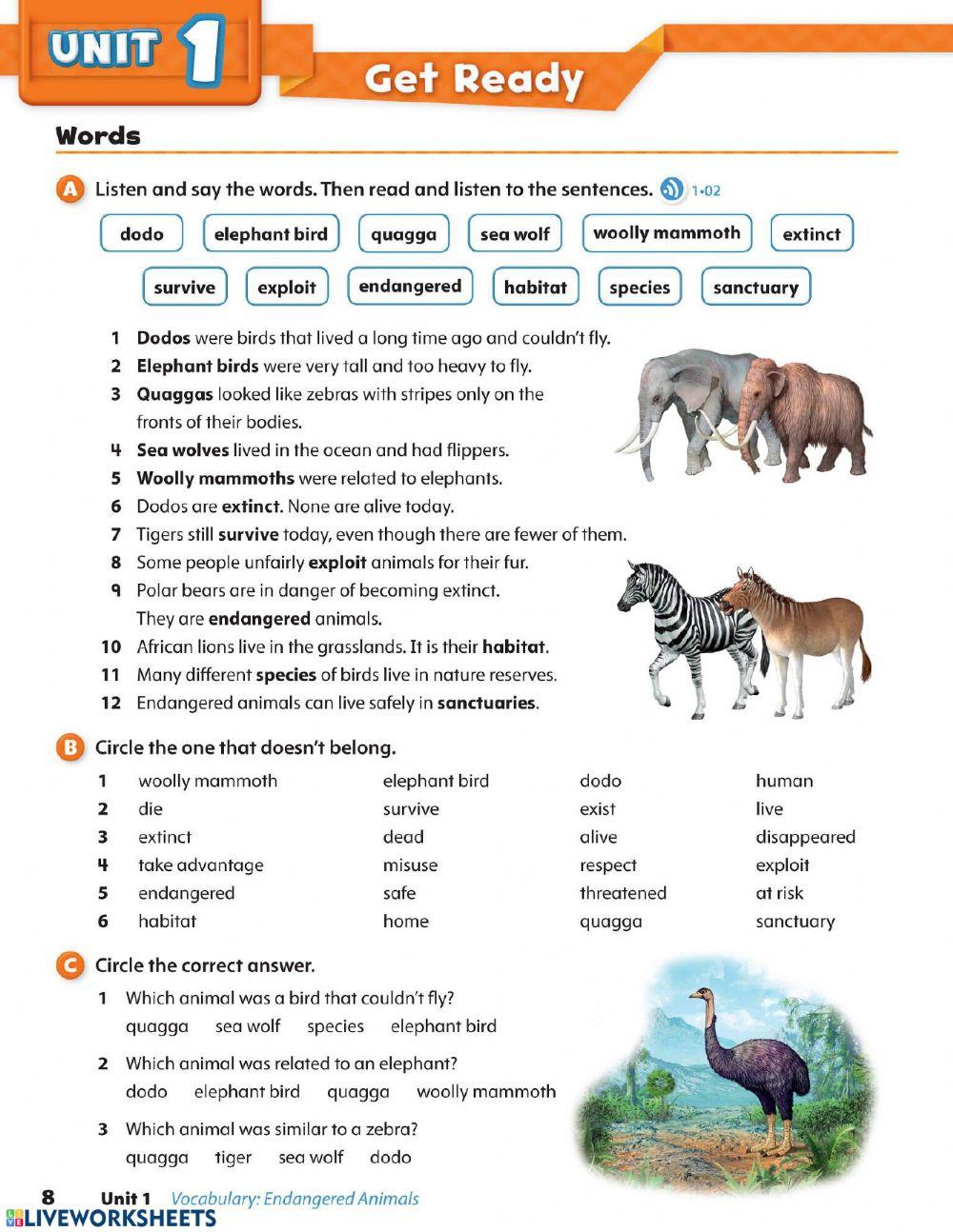 module-1-lesson-1-online-why-do-we-protect-animals